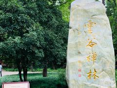 -灵谷景区