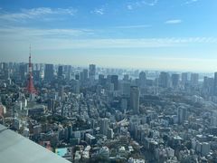 -六本木新城展望台(东京城市景观)