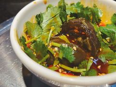 -辣四方新派川菜