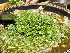 -马村鱼头