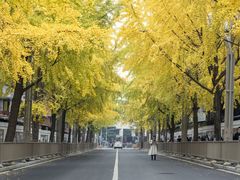 -四川大学(望江校区)