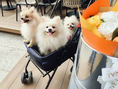 -Nord Grill&Bar Highland诺德西餐(深圳欢乐海岸店)