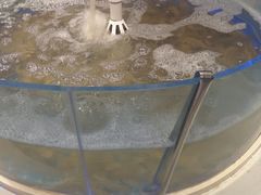-藜爱·山海情海鲜自助(万达广场店)