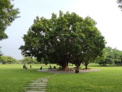 -东莞植物园