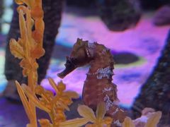 -沈阳海洋探索中心