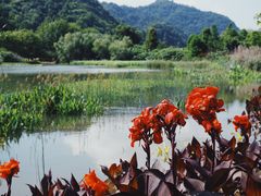 -贵阳市花溪国家城市湿地公园