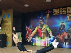 -灵玲国际马戏城