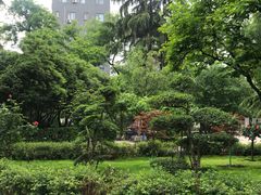 -莲湖公园