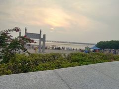 -宝安西湾红树林湿地公园