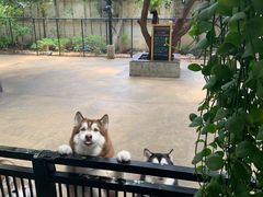 -TrueLove @ Neverland (Husky Cafe)