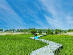 -野鸭湖国家湿地公园