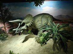 -国家自然博物馆