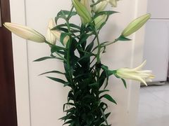 -梁子刨冰王(鞍山西道店)