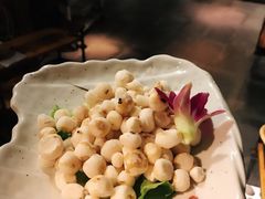 野生珍珠小马蹄-同仁四季椰子鸡(海岸城天利店)
