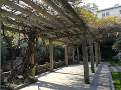 周边环境-复旦大学附属华山医院(总院)
