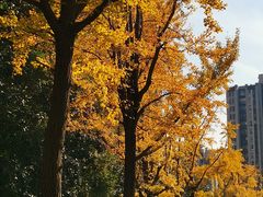 -苏州河梦清园环保主题公园