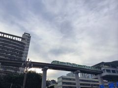 -江湖黑大兔(杨家坪店)