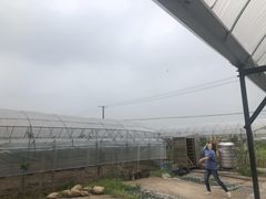 -美家乐农庄·露营·团建(大治路店)