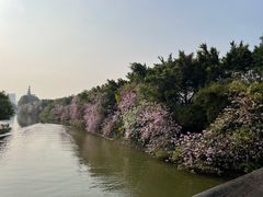 -海珠湖公园