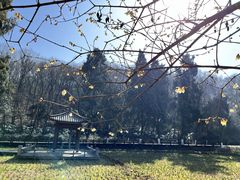 -古隆中景区