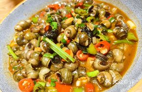 Qianjiangyuan Snail