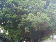 -梅溪牌坊