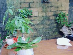 -御泉足浴SPA养生会所