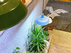 -渔乡米香·剁椒鱼头(四方坪店)