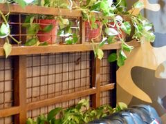 -真枪会射击俱乐部(河西中央公园店)