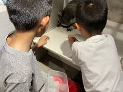 -浣熊柯尔鸭土拨鼠·电玩咖