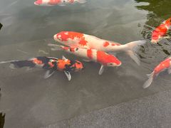 -苏州园林博物馆