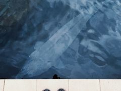 -天源渔港农庄