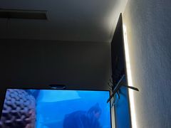 -良子足浴(湖滨店)