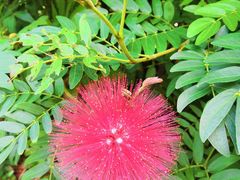 -好利来(旅顺世达店)