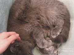 -Rabbit Cafe私房西餐甜点咖啡(栖霞路店)