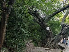 -抚仙湖禄充风景区