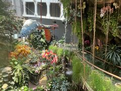 -正佳雨林生态植物园