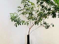 -恒悦轩·粤菜(上海展览中心店)