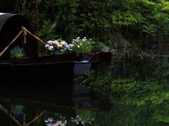 -石台牯牛降景区