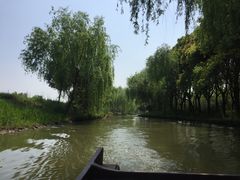 -同里国家湿地公园