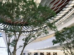 -香港皇家太平洋酒店