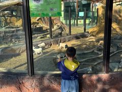 -大连森林动物园