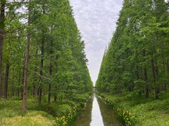 -黄海国家森林公园