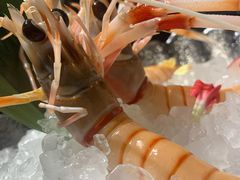 -極上萬膳·日料放题(海岸城店)