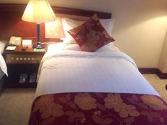 P50115-175314-西安交大南洋大酒店(交通大学青龙寺店)