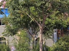 -西安华夏文旅水世界