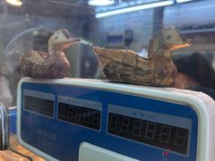 -达记卤菜店(红庙店)