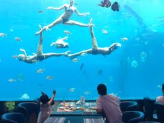 -瑞德姆美人鱼海底演艺主题餐厅(亚龙湾店)