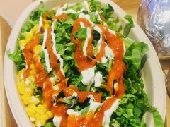 -油梨树 AVOCADO TREE(亮马桥店)