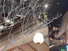 -桂满陇·海市蜃楼·黑金(国金店)